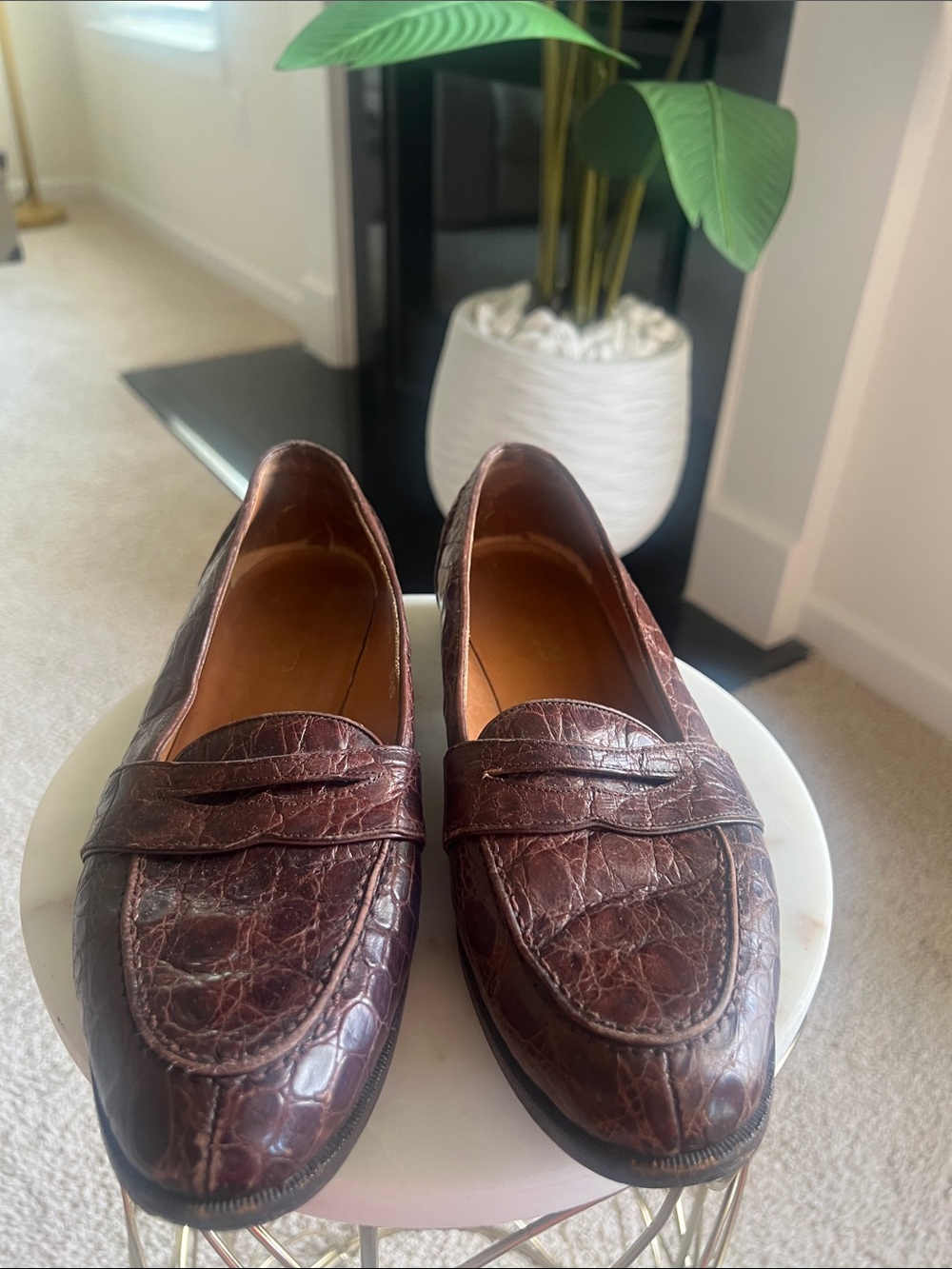 Polo by Ralph Lauren Women's Croc-Embossed Penny Loafers in Dark Brown